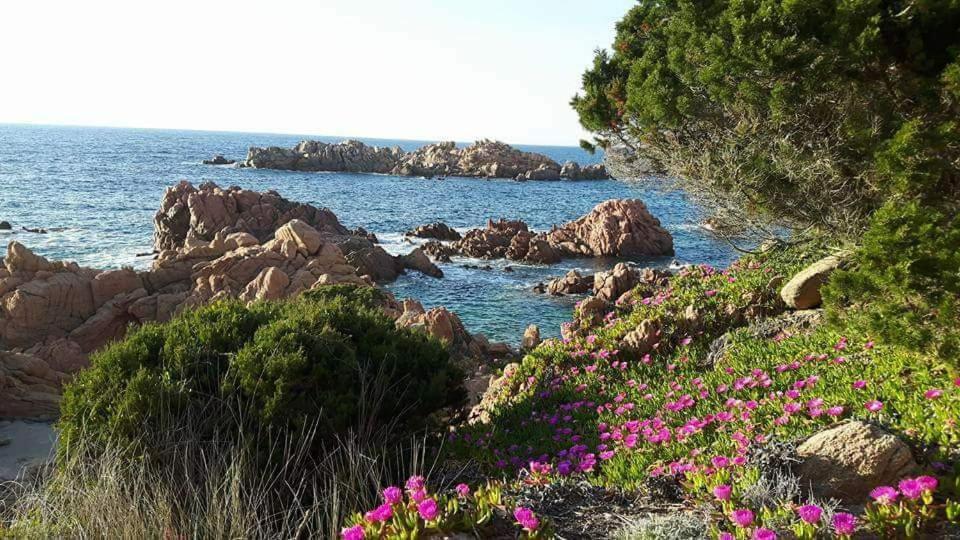Casa Vacanze Villa Sandrina Costa Paradiso Zewnętrze zdjęcie
