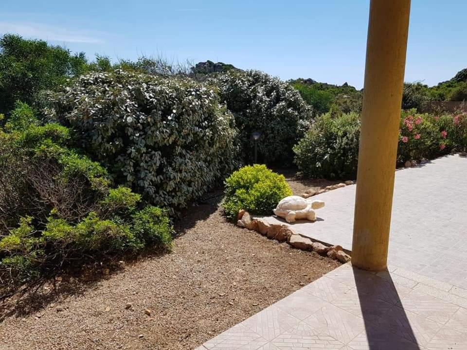 Casa Vacanze Villa Sandrina Costa Paradiso Zewnętrze zdjęcie