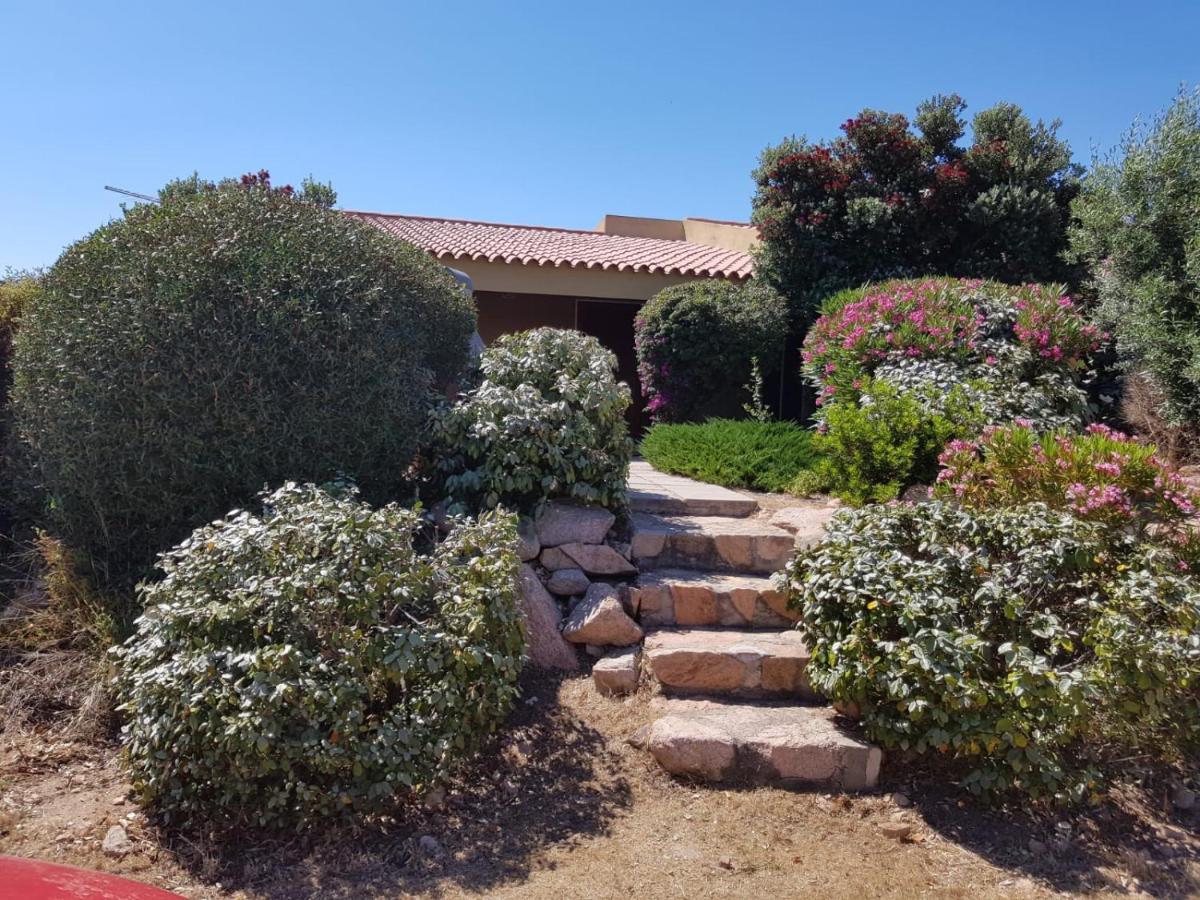 Casa Vacanze Villa Sandrina Costa Paradiso Zewnętrze zdjęcie