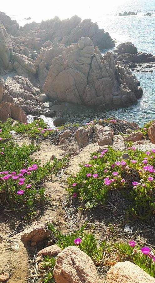 Casa Vacanze Villa Sandrina Costa Paradiso Zewnętrze zdjęcie