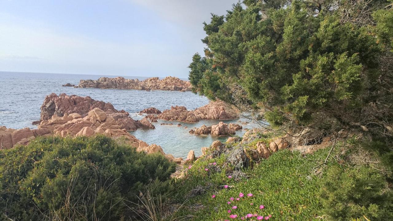 Casa Vacanze Villa Sandrina Costa Paradiso Zewnętrze zdjęcie